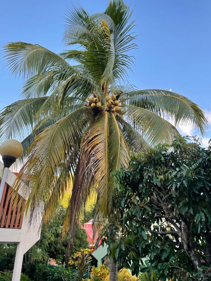 Residence Sucrerie Motel - Les Anses-D'Arlets - Martinique المظهر الخارجي الصورة