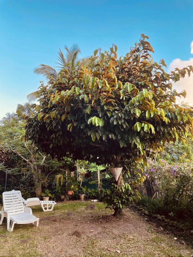 Residence Sucrerie Motel - Les Anses-D'Arlets - Martinique المظهر الخارجي الصورة