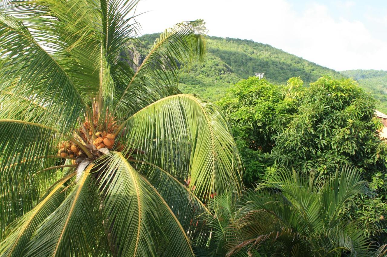 Residence Sucrerie Motel - Les Anses-D'Arlets - Martinique المظهر الخارجي الصورة